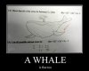 awhale.jpg