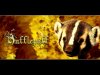 Hufflepuff-hufflepuff-7768481-1024-768.jpg