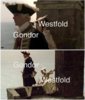 person-westfold-gondor-gondor-westfold.jpeg