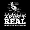 birds-arent-real-maenner-t-shirt.jpg