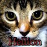 Hellion